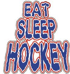 Hockey Decal for Car Window - Eat Sleep Hockey