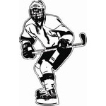 HP19 Hockey Decal