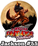 Pinellas Predators Custom Football Car Windows Stickers