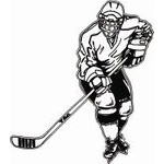 HP 15 Hockey Sticker