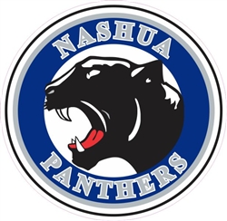NASHUA Panthers Car Window Decal
