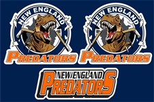 NE Predator Helmet decal logo with front logo