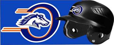 Orangecrest Pony Baseball Custom Helmet Decal