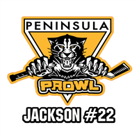 Custom Peninsula Prowl l Car Window Decals | Helmet Stickers