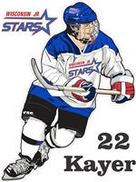 Wisconsin Jr Stars AAA Ice Hockey Decals Clings